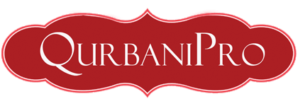 QurbaniPro Logo