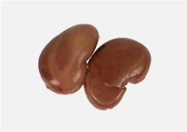 Mutton kidney